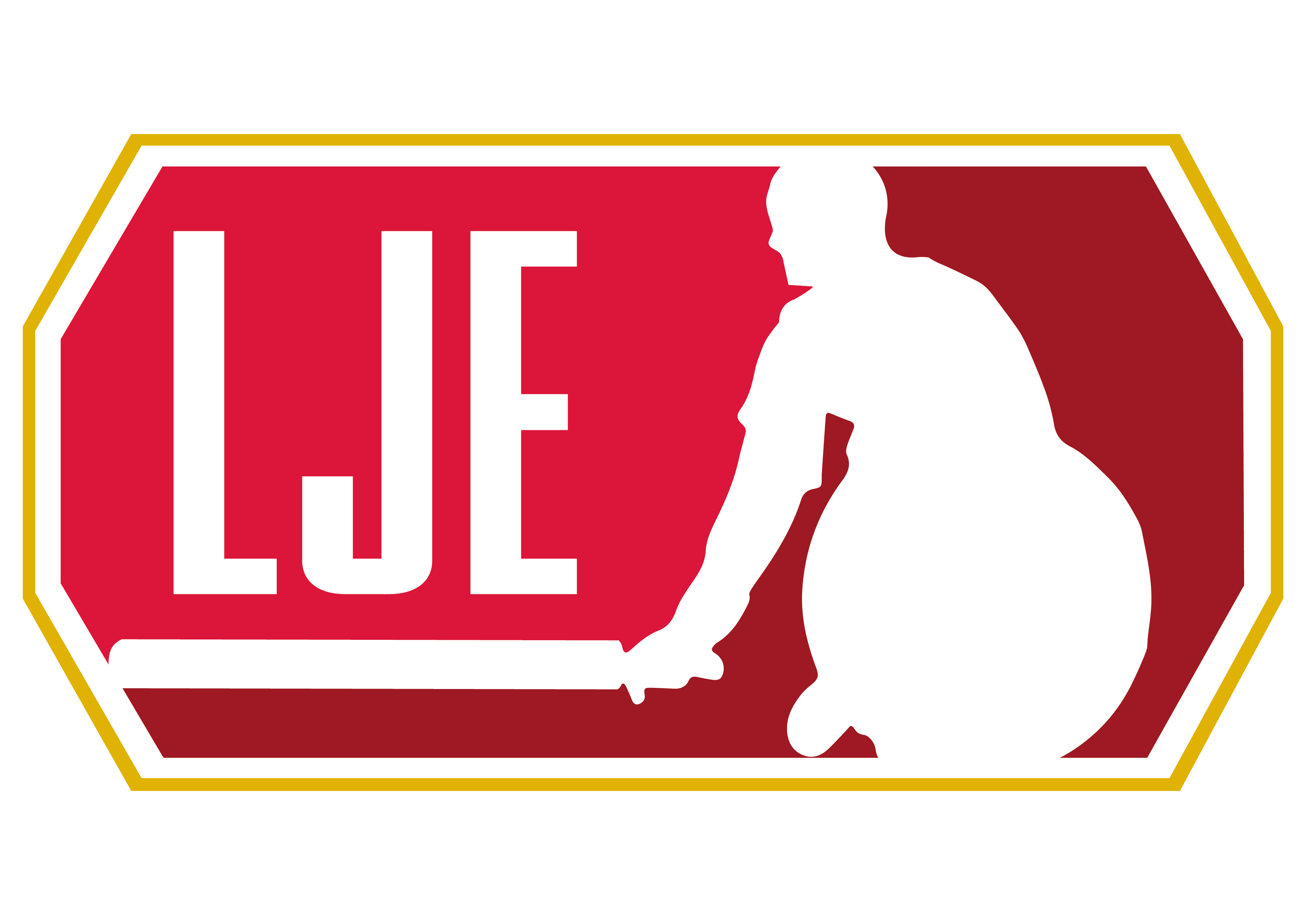 Liga de Jugger de España